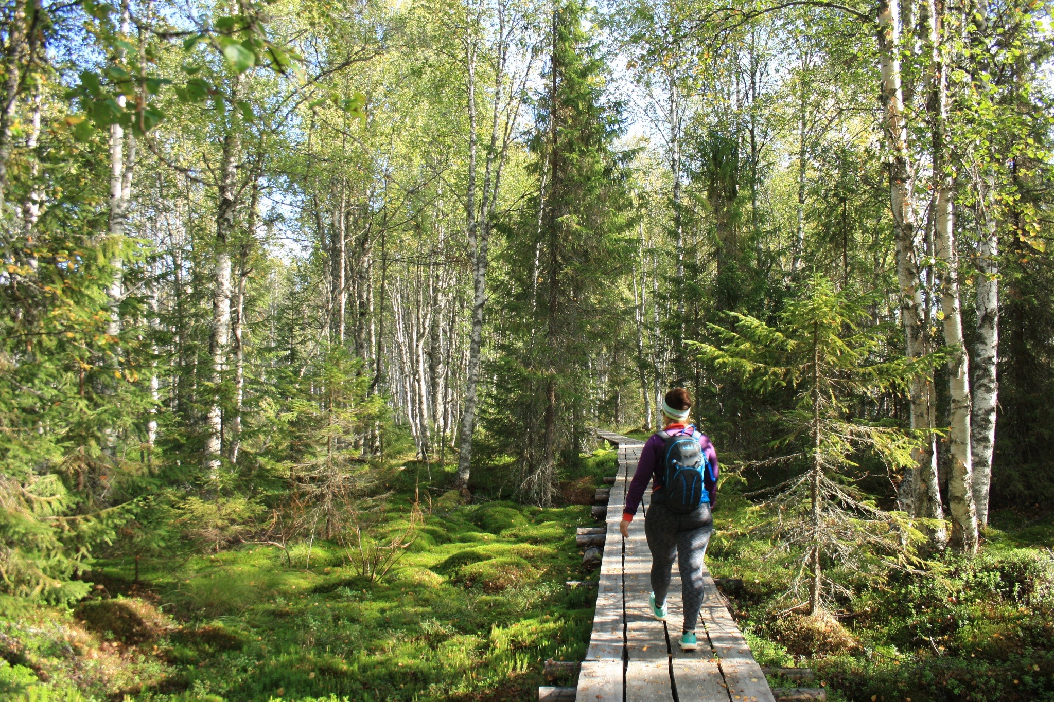 Kalastuspolku Paljakka